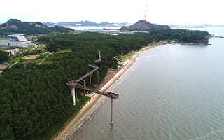 장항송림자연휴양림/스카이워크